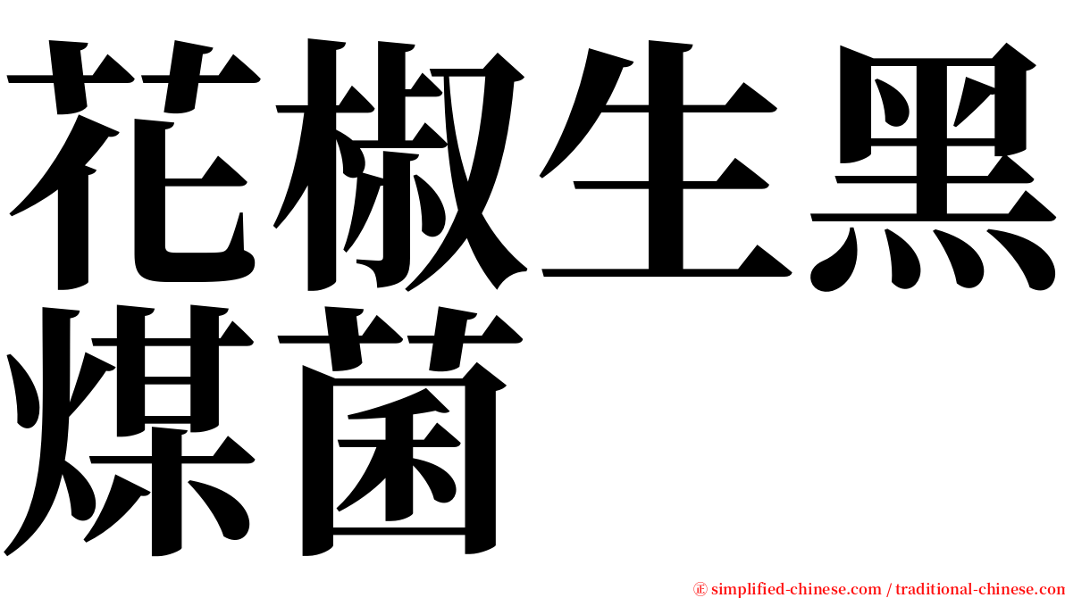 花椒生黑煤菌 serif font