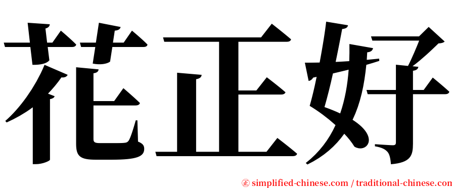 花正好 serif font