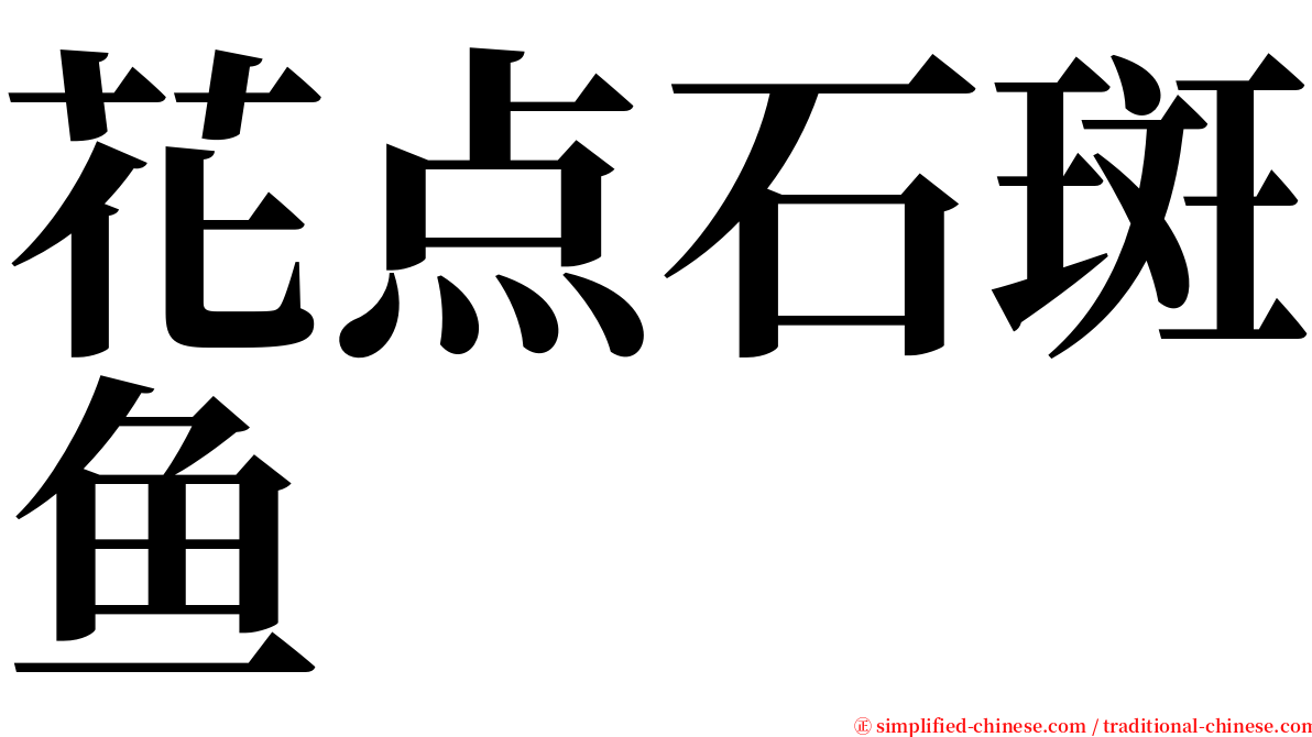 花点石斑鱼 serif font