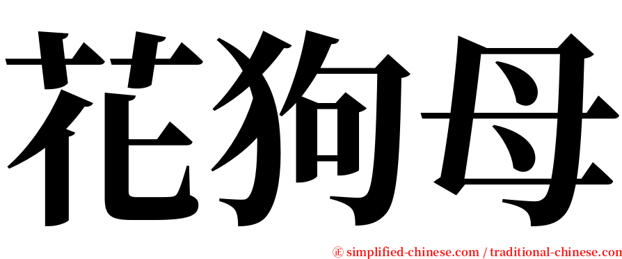 花狗母 serif font