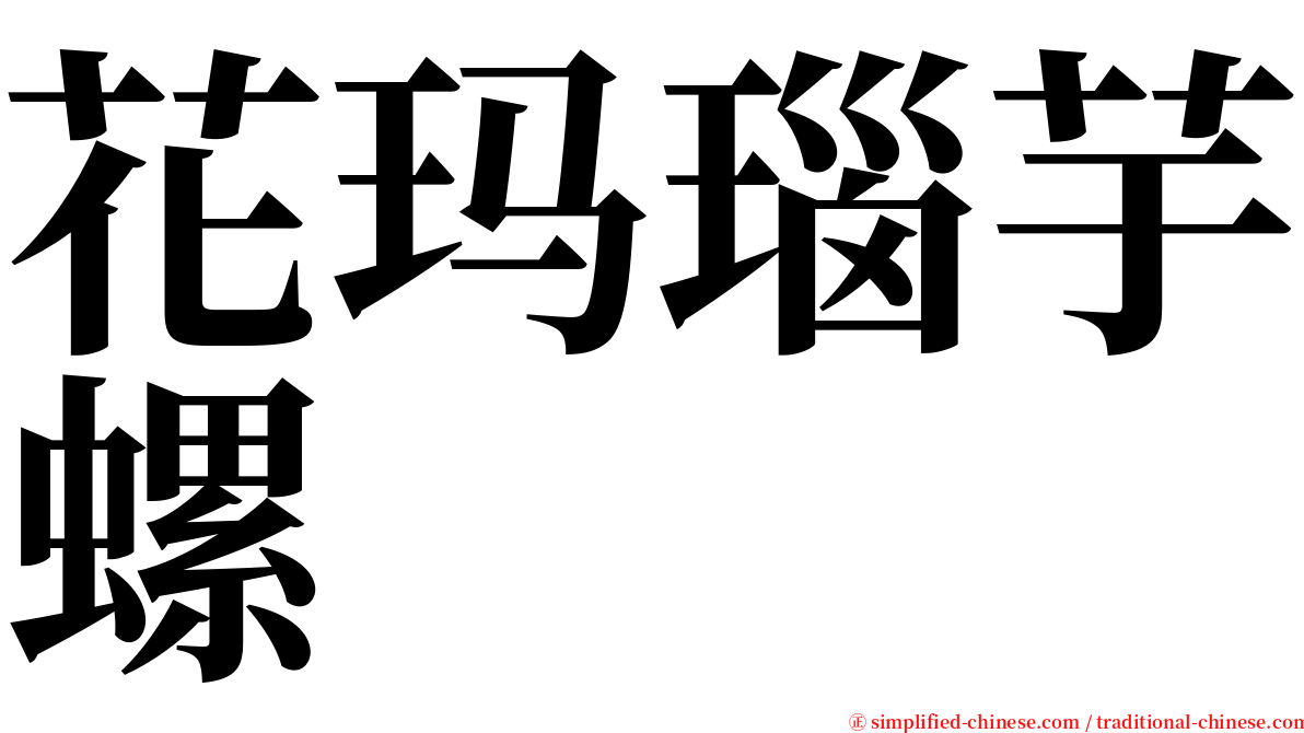 花玛瑙芋螺 serif font