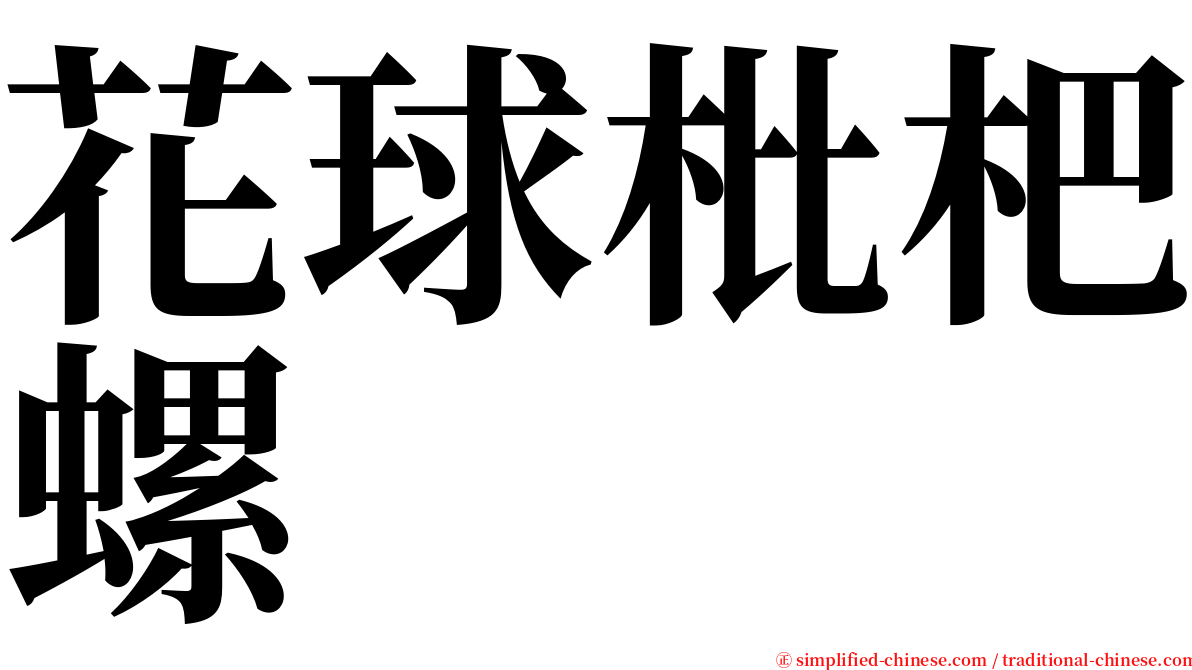 花球枇杷螺 serif font