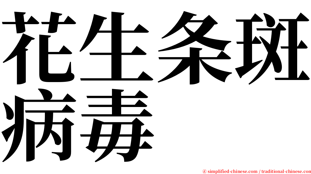 花生条斑病毒 serif font