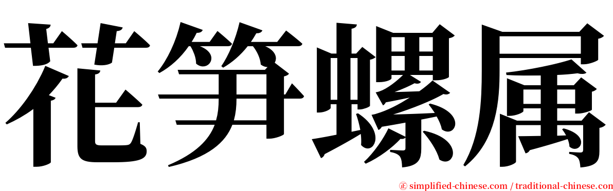 花笋螺属 serif font