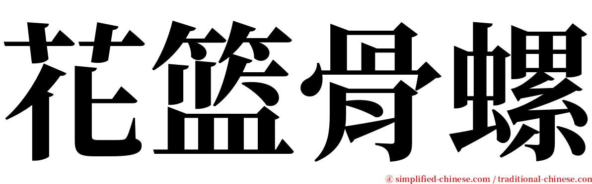 花篮骨螺 serif font