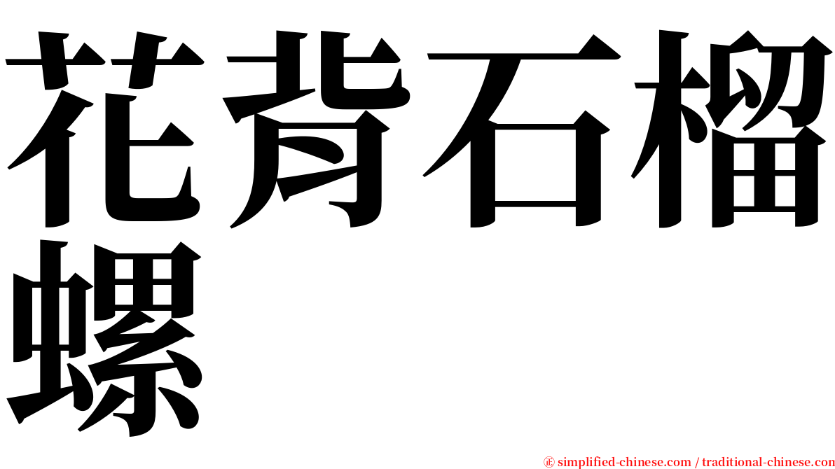 花背石榴螺 serif font