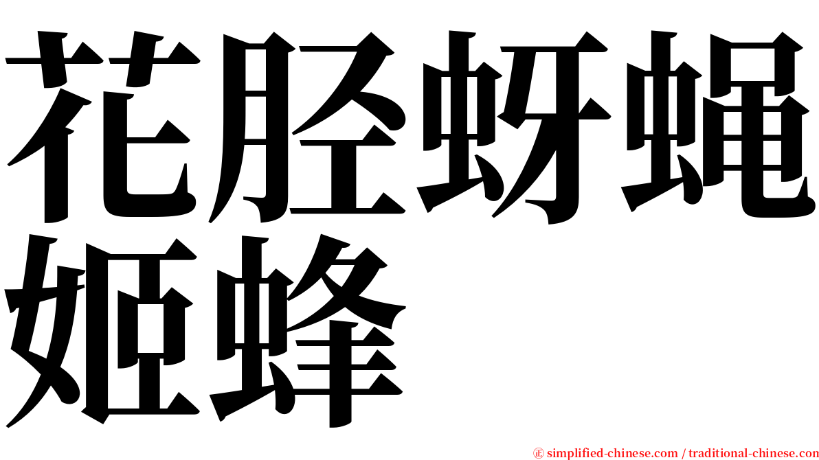 花胫蚜蝇姬蜂 serif font