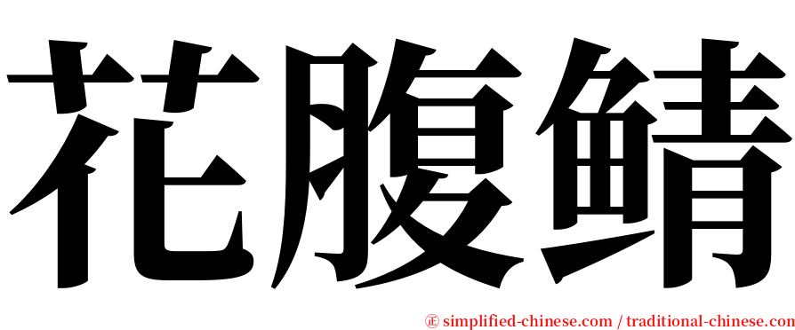 花腹鲭 serif font