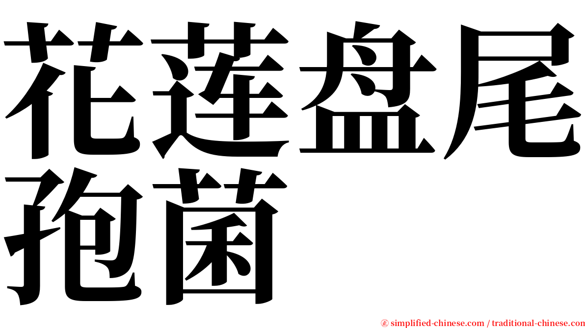 花莲盘尾孢菌 serif font