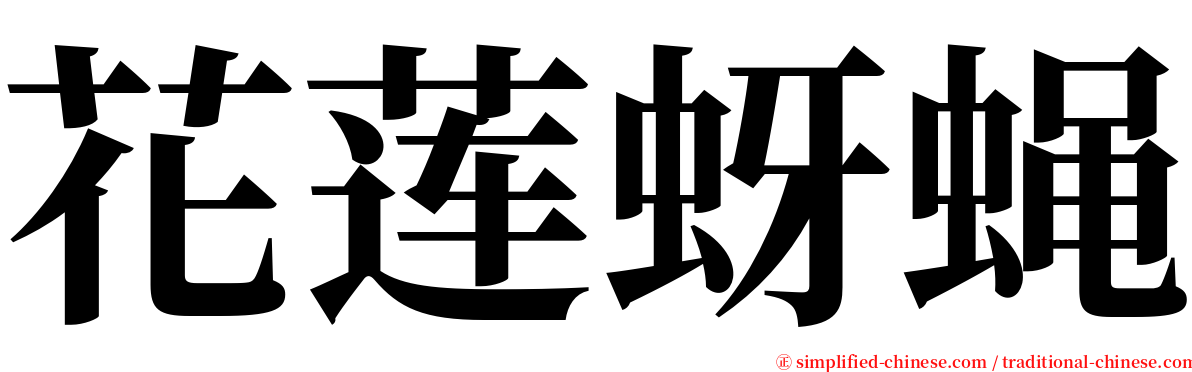 花莲蚜蝇 serif font