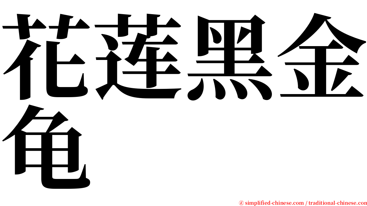 花莲黑金龟 serif font