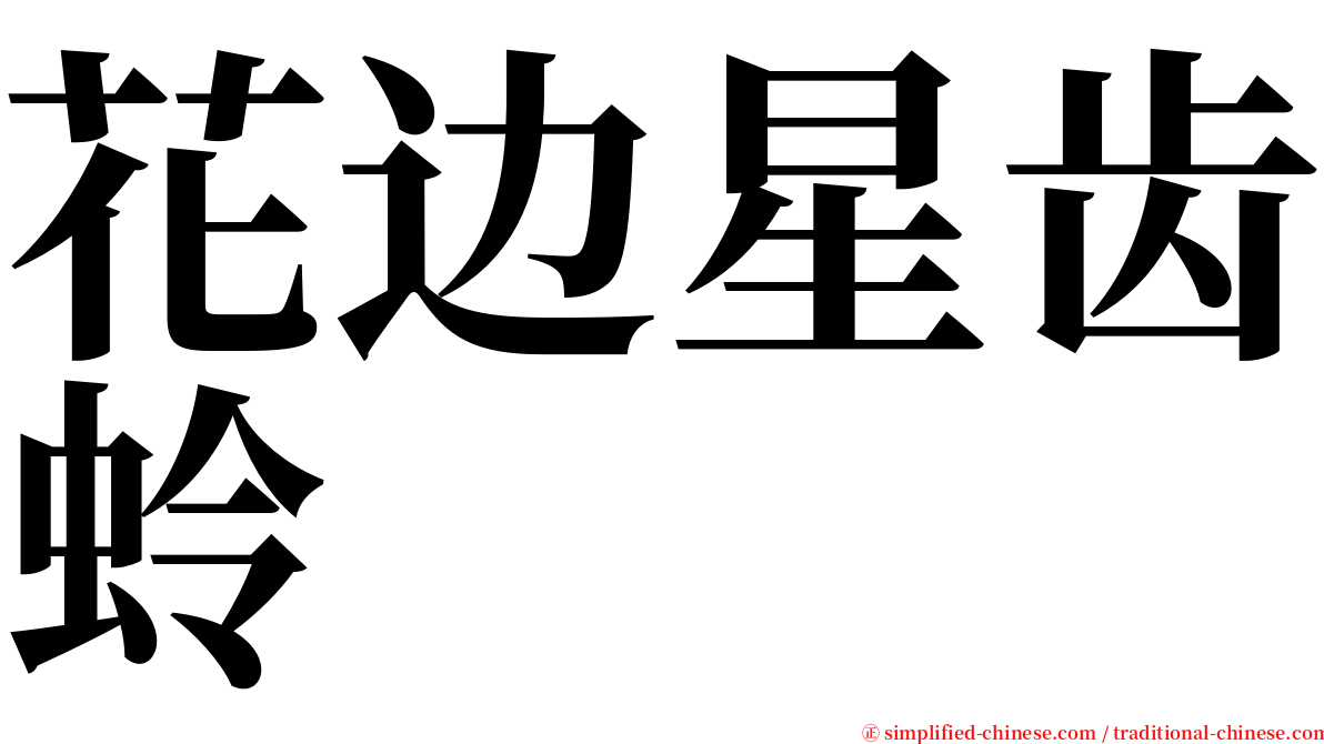 花边星齿蛉 serif font