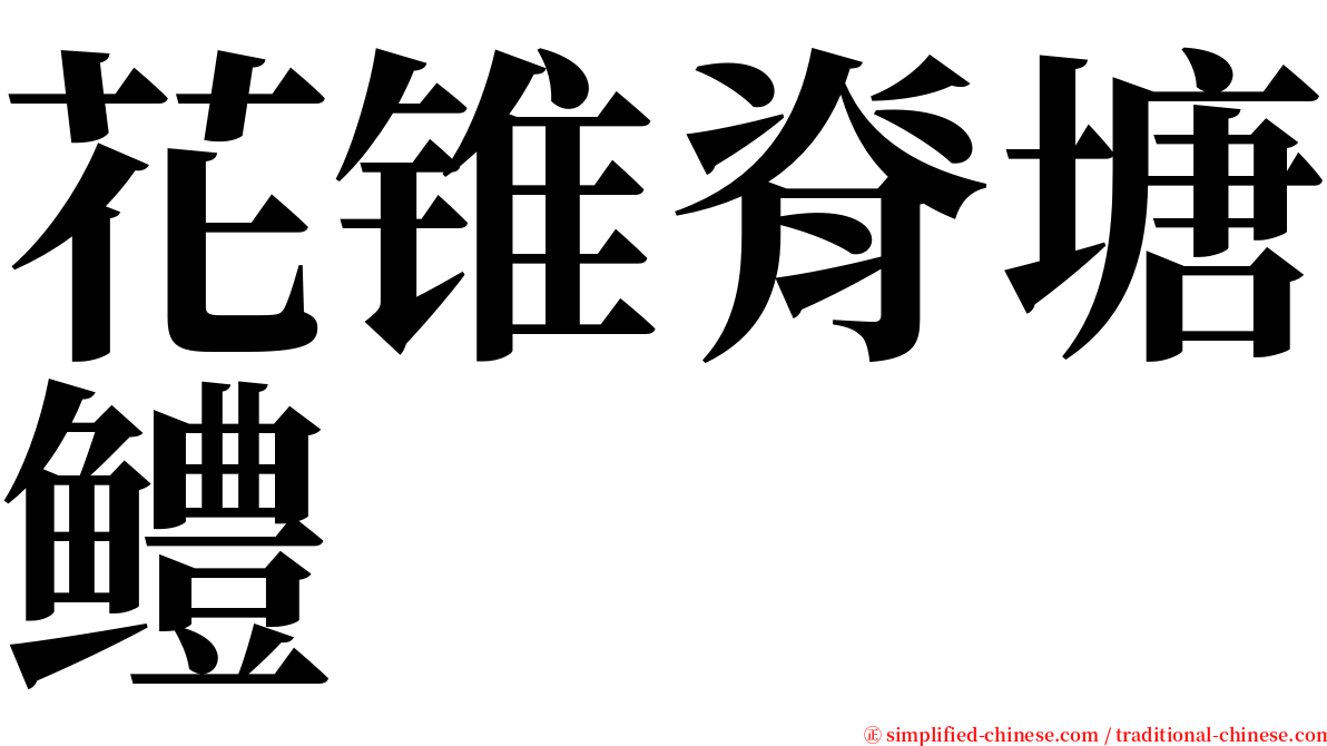 花锥脊塘鳢 serif font