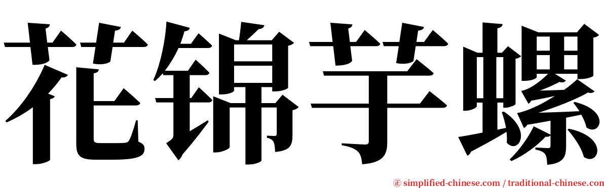 花锦芋螺 serif font