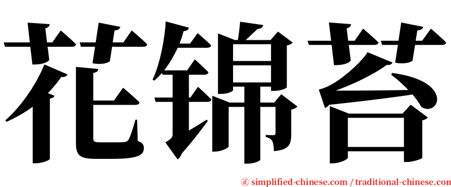 花锦苔 serif font