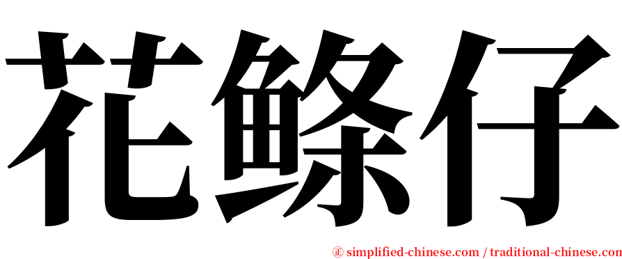 花鲦仔 serif font