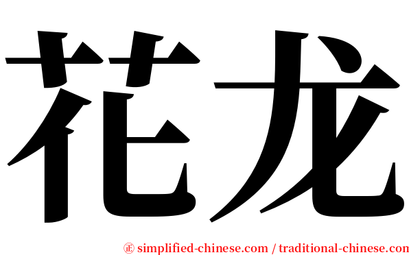 花龙 serif font