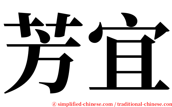 芳宜 serif font