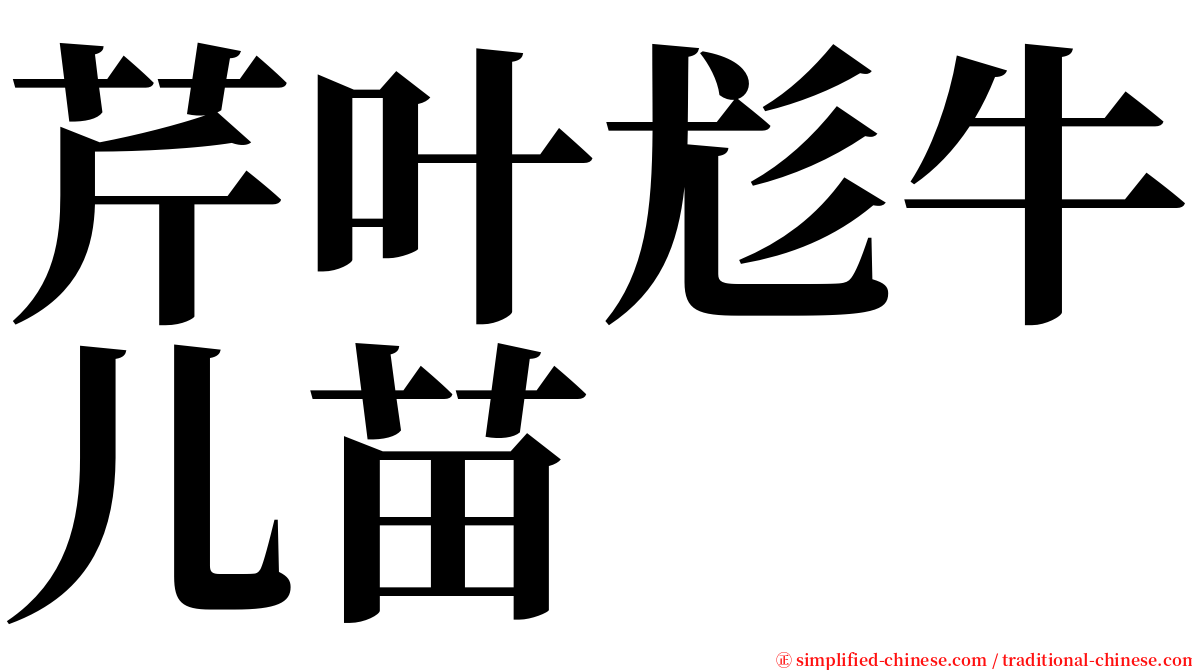 芹叶尨牛儿苗 serif font