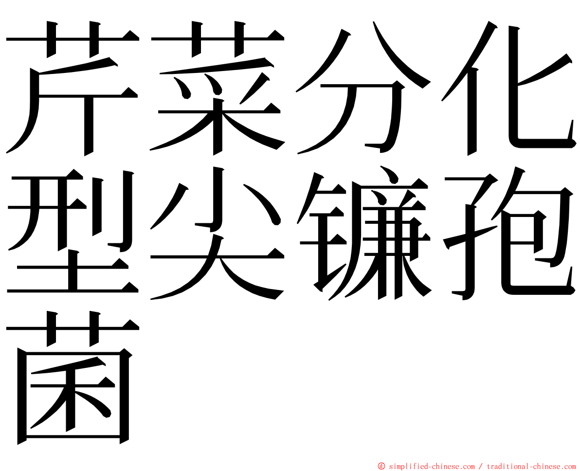 芹菜分化型尖镰孢菌 ming font