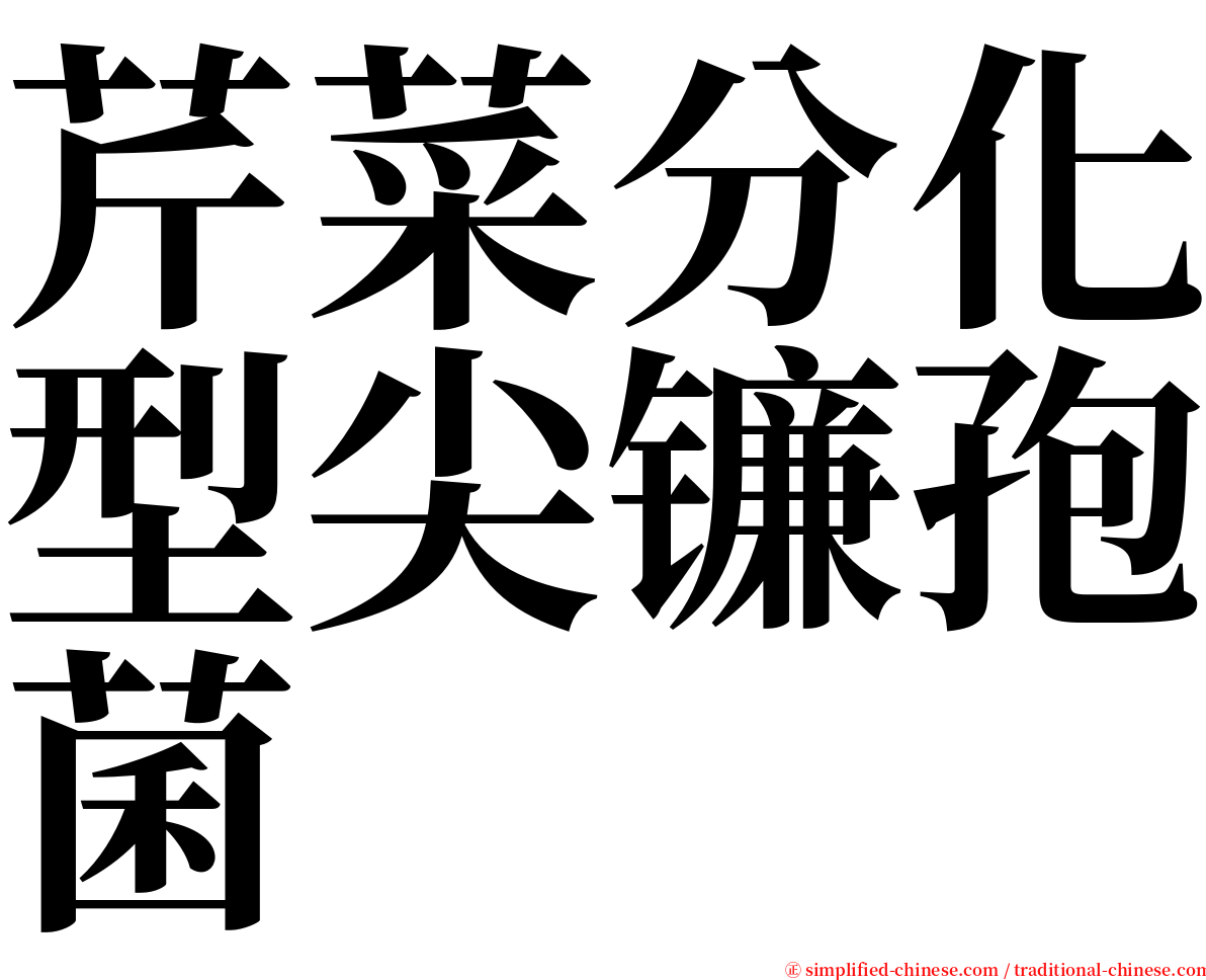 芹菜分化型尖镰孢菌 serif font