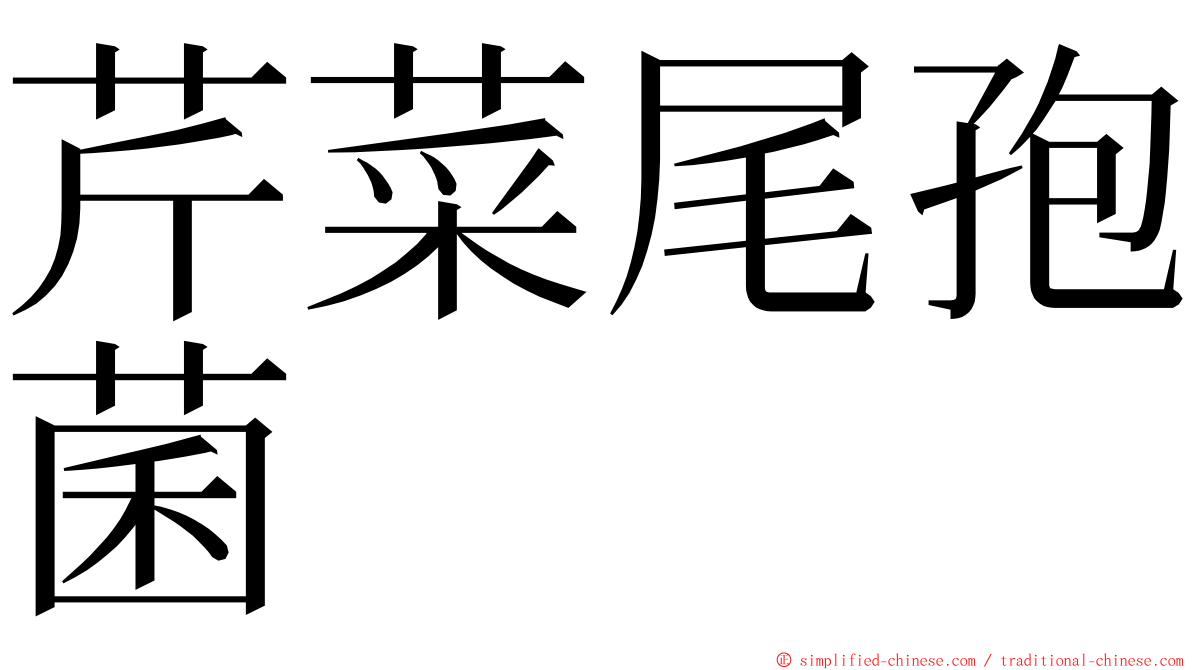 芹菜尾孢菌 ming font