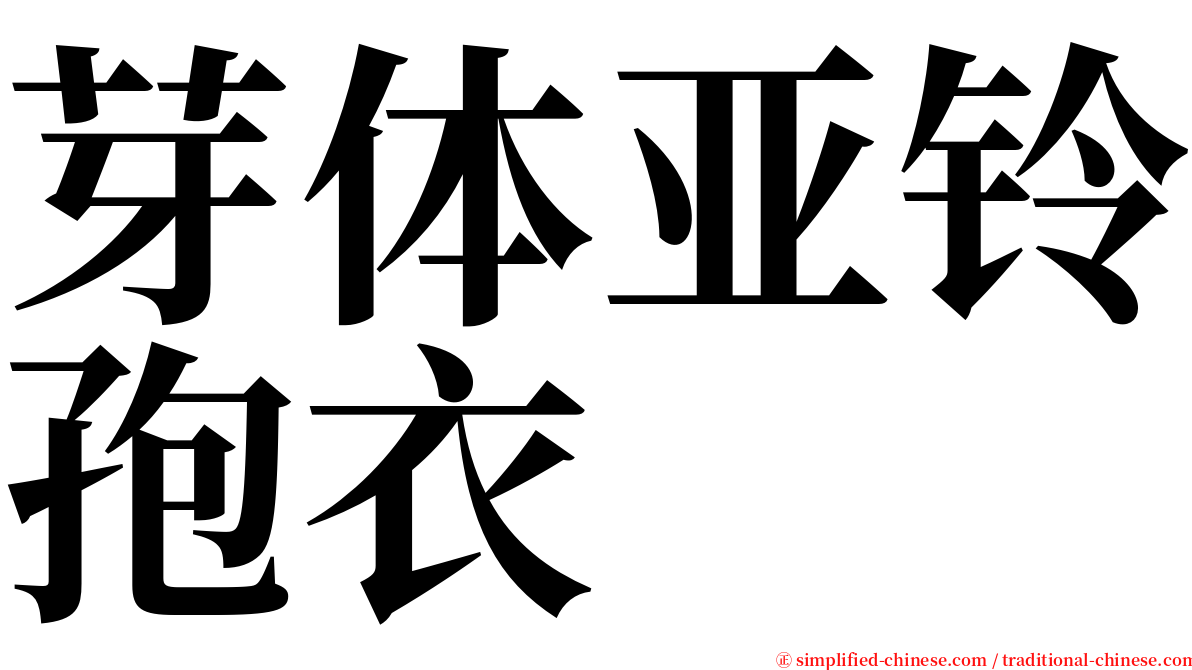 芽体亚铃孢衣 serif font