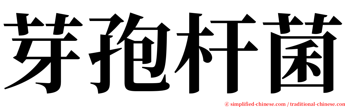 芽孢杆菌 serif font