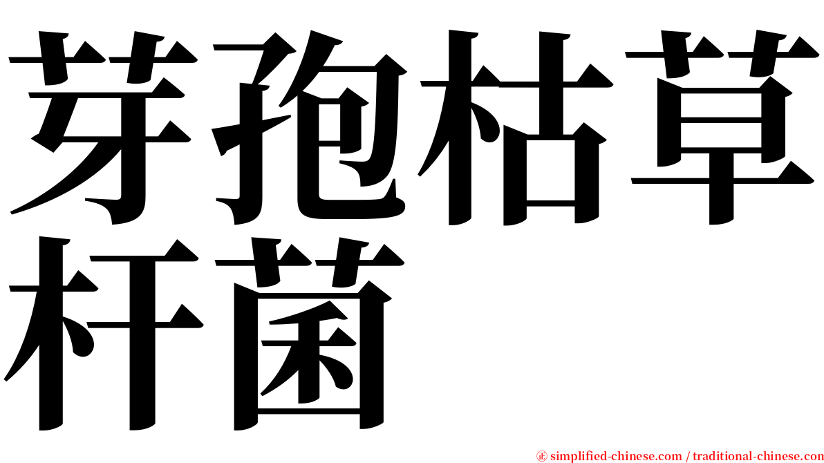 芽孢枯草杆菌 serif font