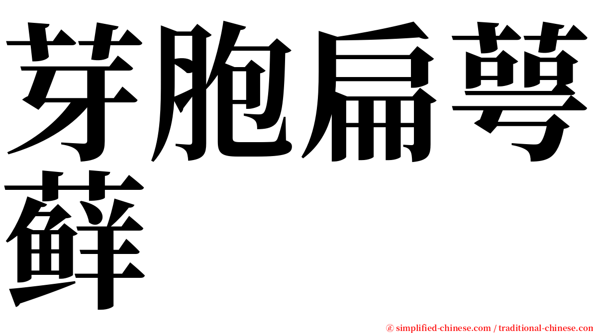 芽胞扁萼藓 serif font