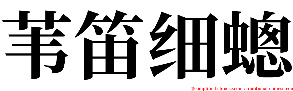 苇笛细蟌 serif font