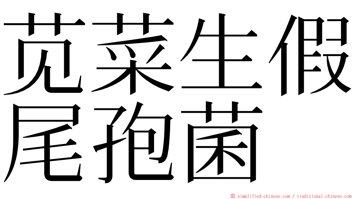 苋菜生假尾孢菌 ming font