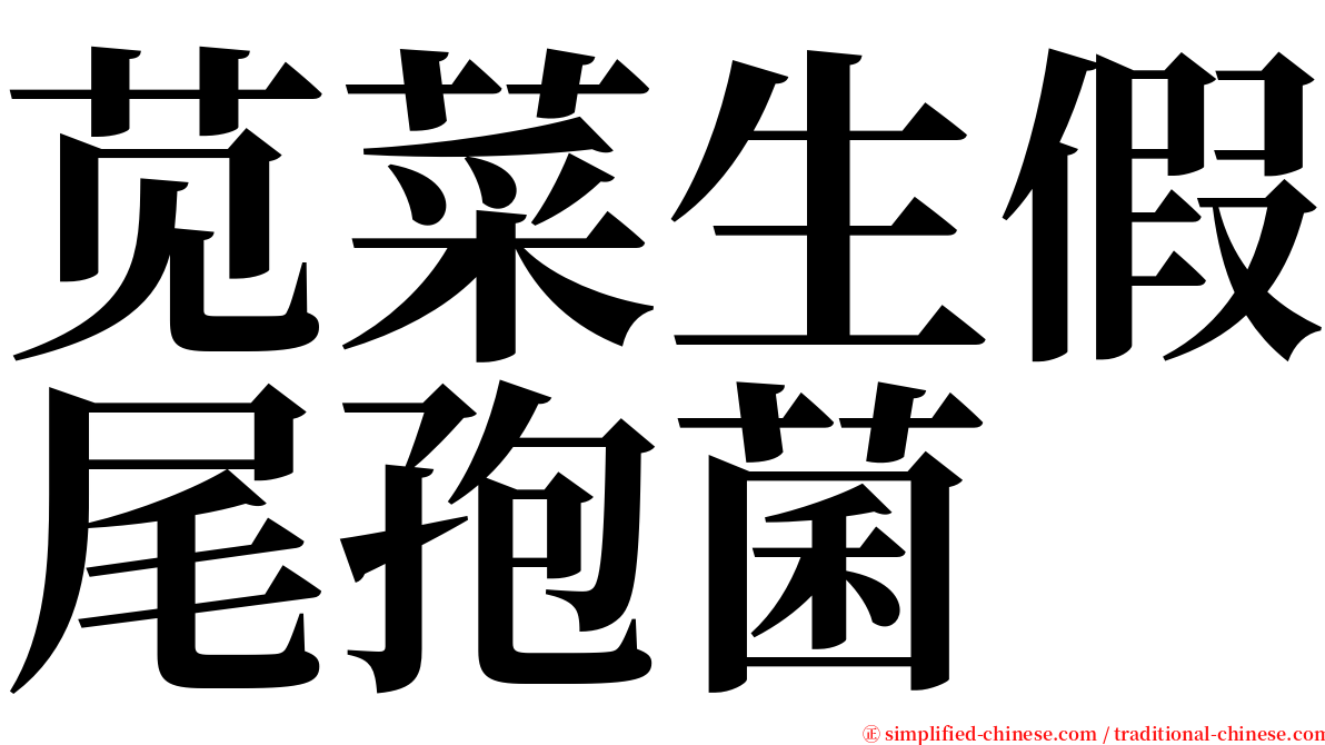 苋菜生假尾孢菌 serif font