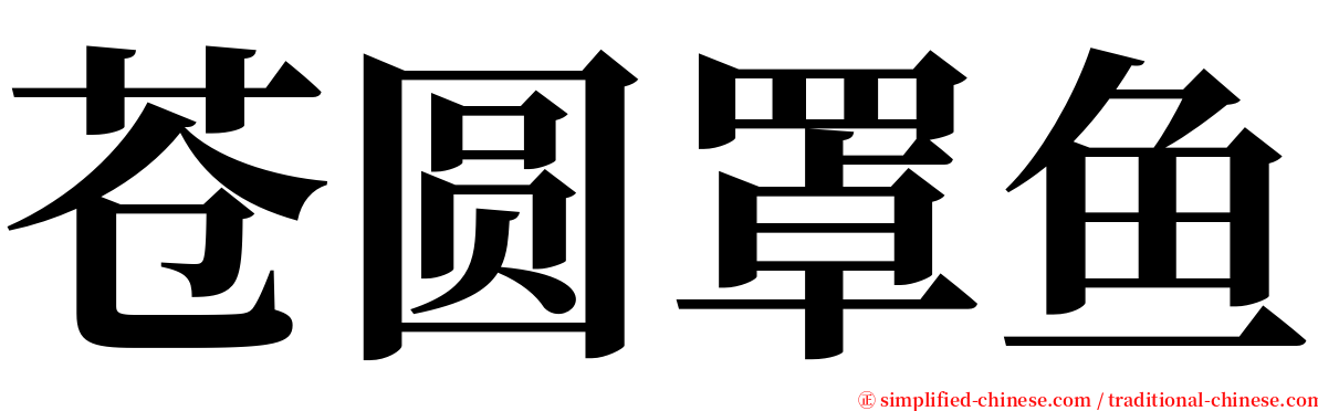 苍圆罩鱼 serif font