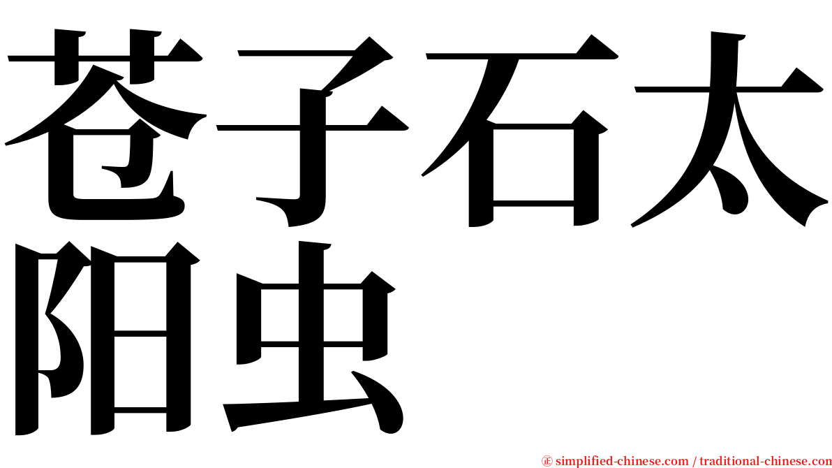 苍子石太阳虫 serif font