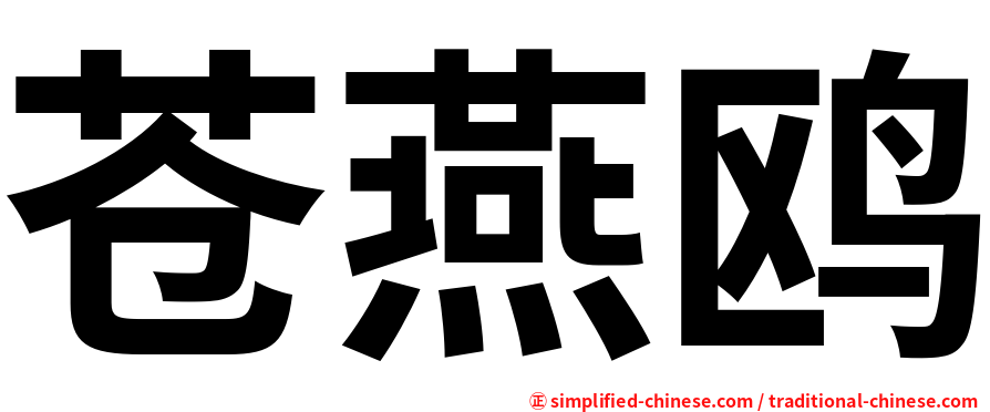 苍燕鸥