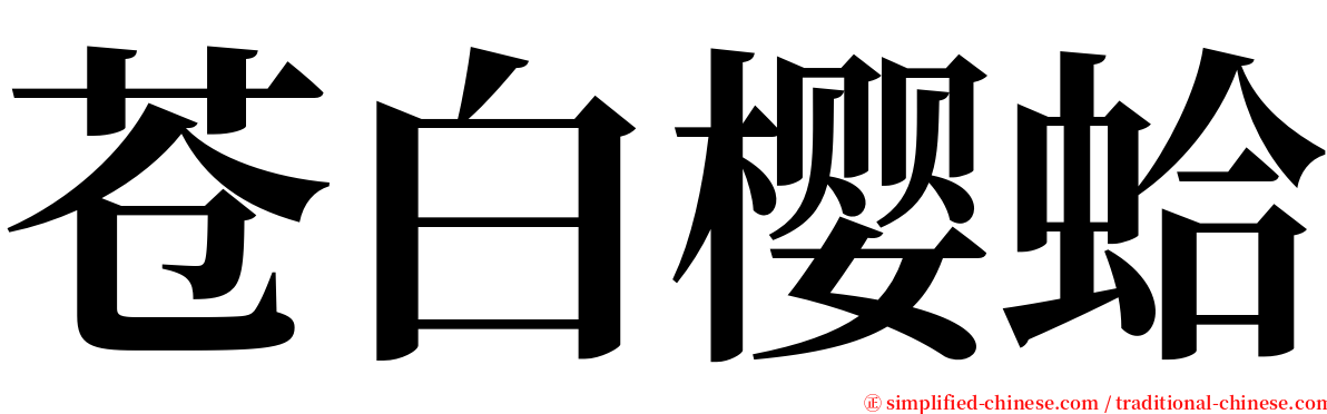 苍白樱蛤 serif font