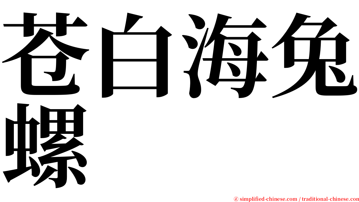 苍白海兔螺 serif font