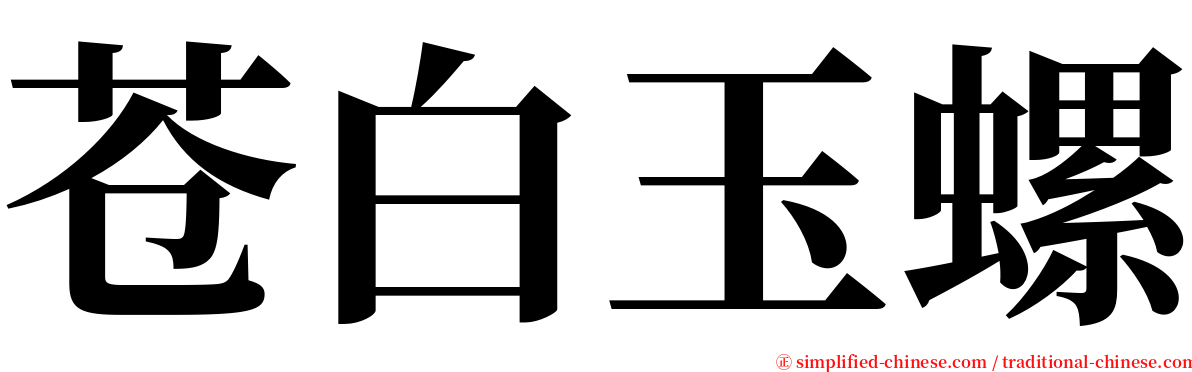 苍白玉螺 serif font