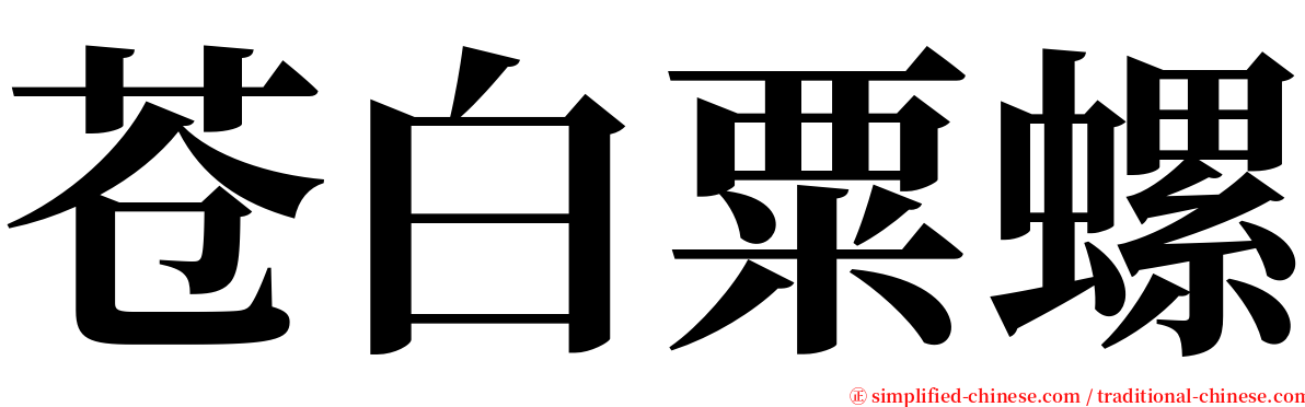 苍白粟螺 serif font