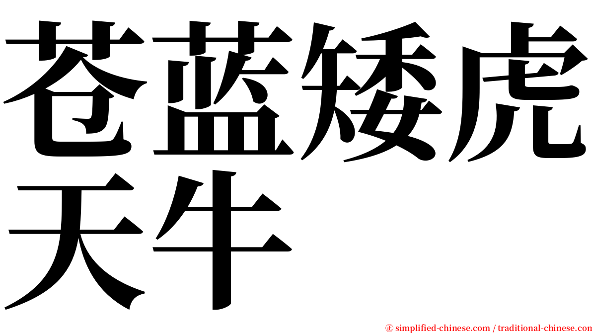 苍蓝矮虎天牛 serif font