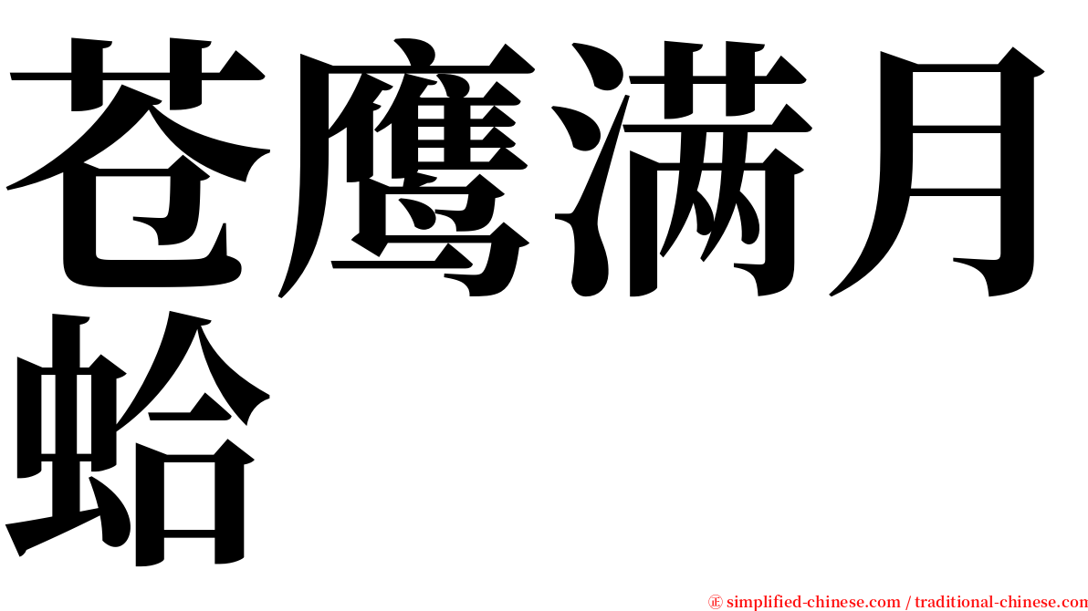 苍鹰满月蛤 serif font