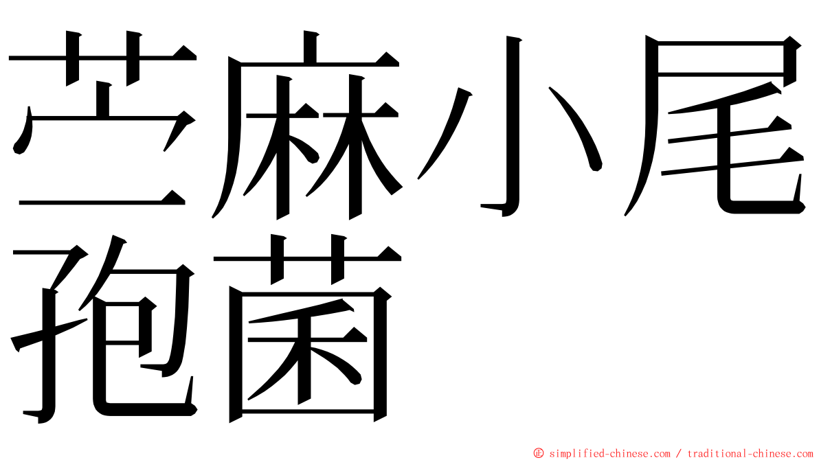 苎麻小尾孢菌 ming font