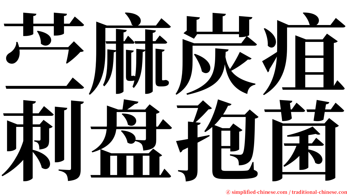 苎麻炭疽刺盘孢菌 serif font