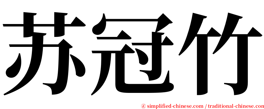 苏冠竹 serif font