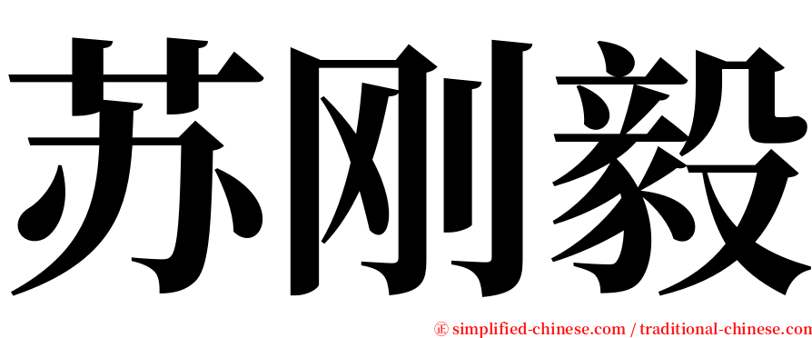 苏刚毅 serif font