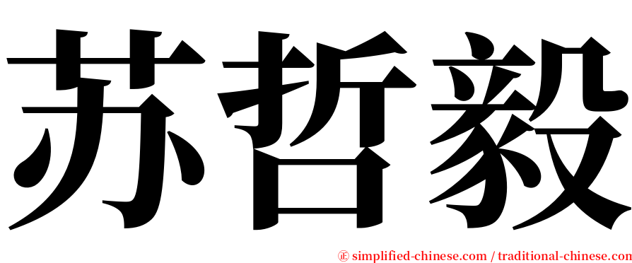 苏哲毅 serif font