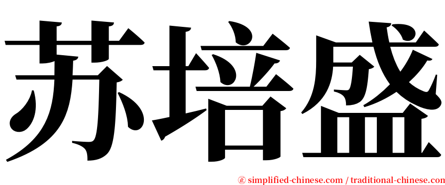 苏培盛 serif font