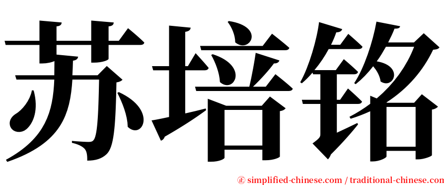 苏培铭 serif font