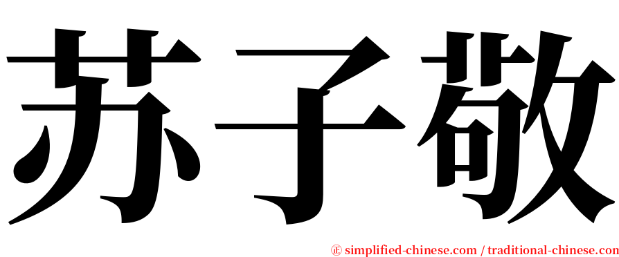 苏子敬 serif font